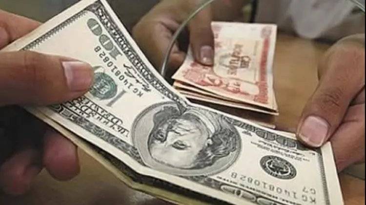Bolsa de Valores de Bolivia (BCB): Todo sobre el Dólar - A cuánto está el dólar BCB bcb dolar - A cuánto está el dólar BCB
