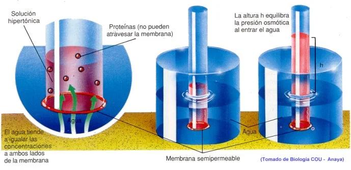 Balance de masa en ósmosis inversa: Una guía completa - Cómo calcular la ósmosis balance de masa en osmosis inversa - Cómo calcular la ósmosis