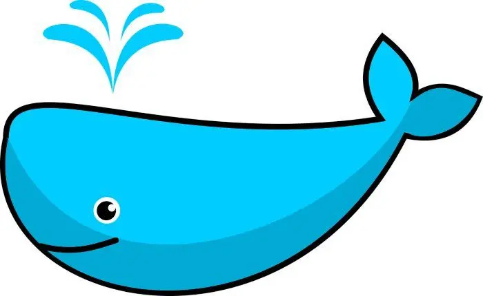 como detectar a una ballena de bitcoins - Cómo comercian las ballenas con criptomonedas