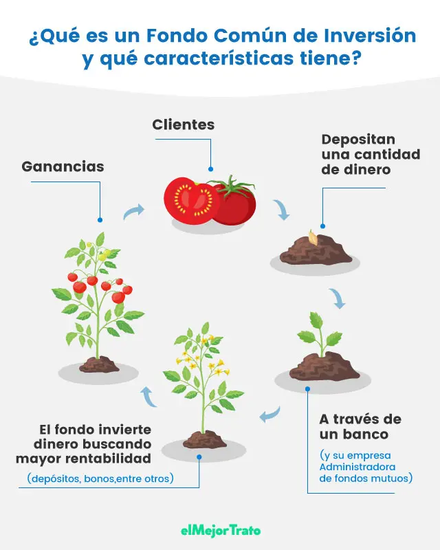 Cómo evaluar fondos comunes de inversión: guía completa para principiantes - Cómo comprobar un buen fondo de inversión como evaluar fondos comunes de inversion - Cómo comprobar un buen fondo de inversión
