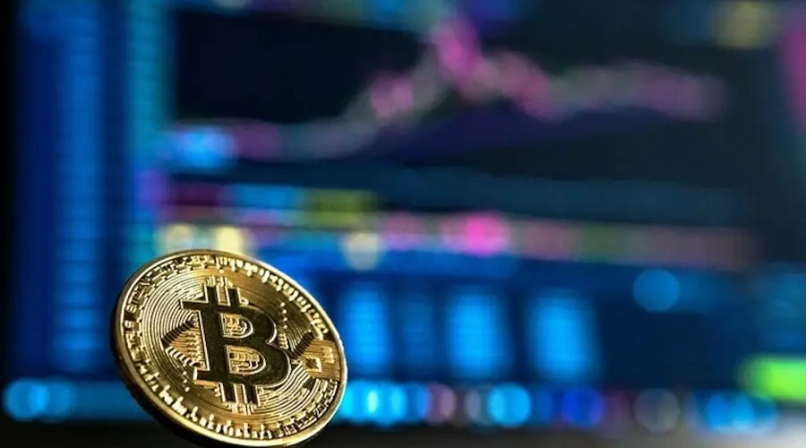 armar portfolio criptomonedas - Cómo debo estructurar mi cartera de criptomonedas