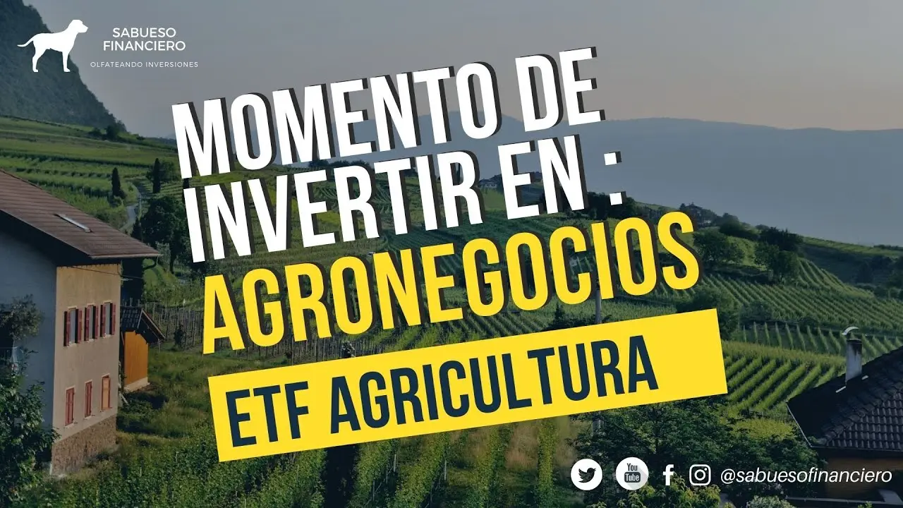 Invertir en Agronegocios: Una Guía Completa para el Éxito - Cómo funciona el agronegocio invertir en agronegocios - Cómo funciona el agronegocio