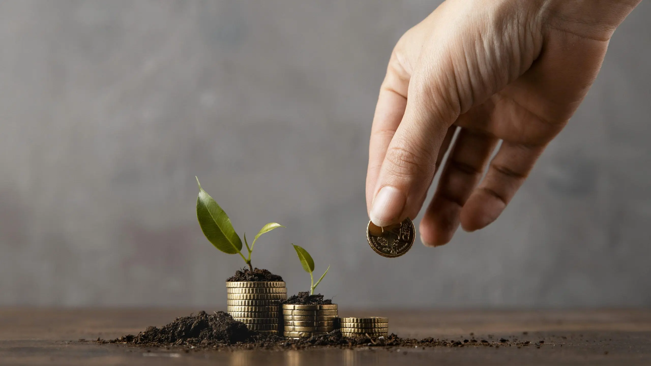 Banca Ética en Argentina: Un Nuevo Camino para las Finanzas - Cómo funciona la banca ética banca etica y finanzas alternativas argentina - Cómo funciona la banca ética