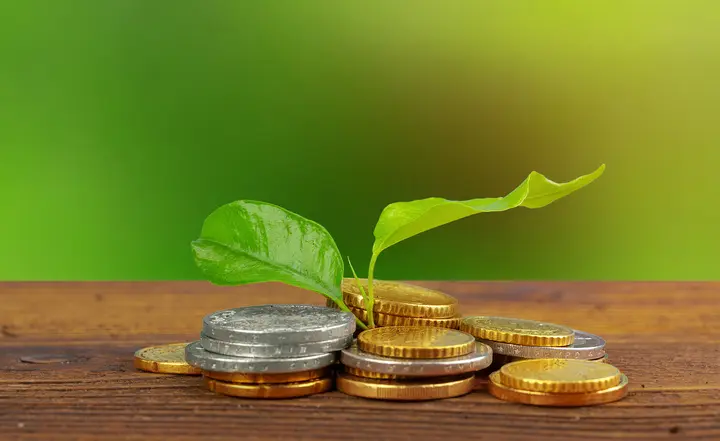Invertir en semillas: Un análisis completo del mercado y la rentabilidad - Cómo funciona la capital semilla invertir en semillas - Cómo funciona la capital semilla