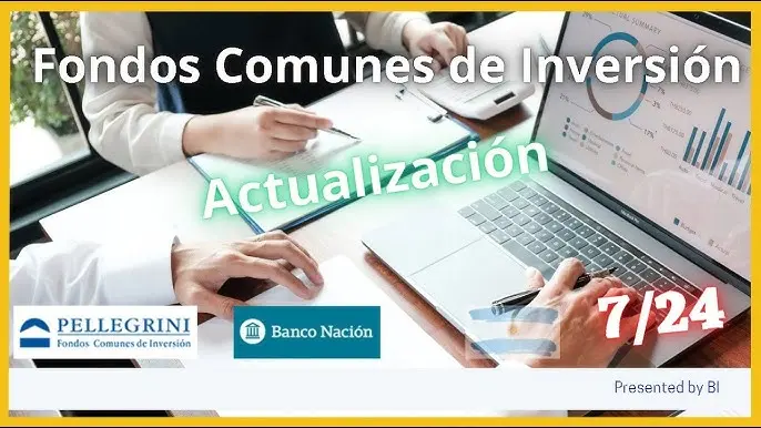 fondo comun de inversion banco nacion - Cómo funciona un Fondo Común de Inversión