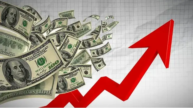 Dolarización en Argentina: ¿Una Solución o un Riesgo? Análisis de Costos y Beneficios - Cómo funcionará la dolarización en Argentina argentina dolarizar invertir - Cómo funcionará la dolarización en Argentina