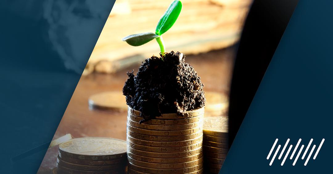 negocios para invertir en el campo - Cómo ganar dinero viviendo en el campo