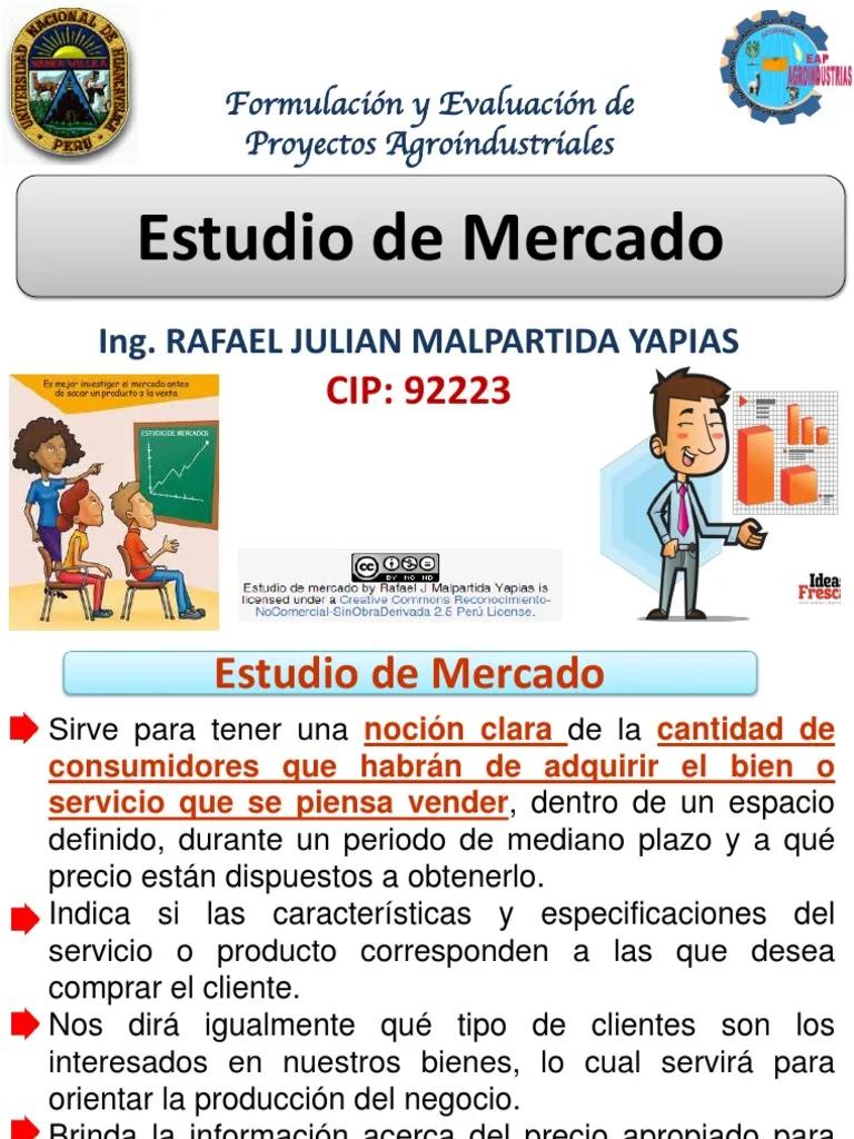 Estudio de mercado para un proyecto de inversión: La guía completa para el éxito - Cómo hacer un estudio de mercado para un proyecto de inversión estudio de mercado de un proyecto de inversion pdf - Cómo hacer un estudio de mercado para un proyecto de inversión