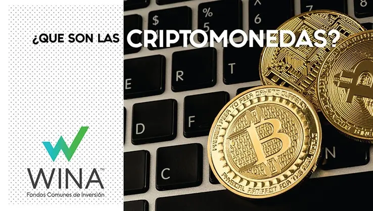 donde invertir dolares criptomonedas lebac - Cómo invertir en fondos de inversión Bull Market