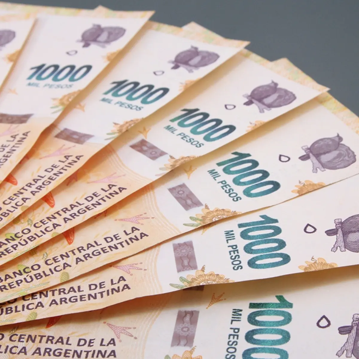 Cómo acceder al Crédito de Desarrollo Humano Asociativo: Una guía paso a paso - Cómo me inscribo para que me den el bono como inscribirse al bono de 50 mil pesos - Cómo me inscribo para que me den el bono