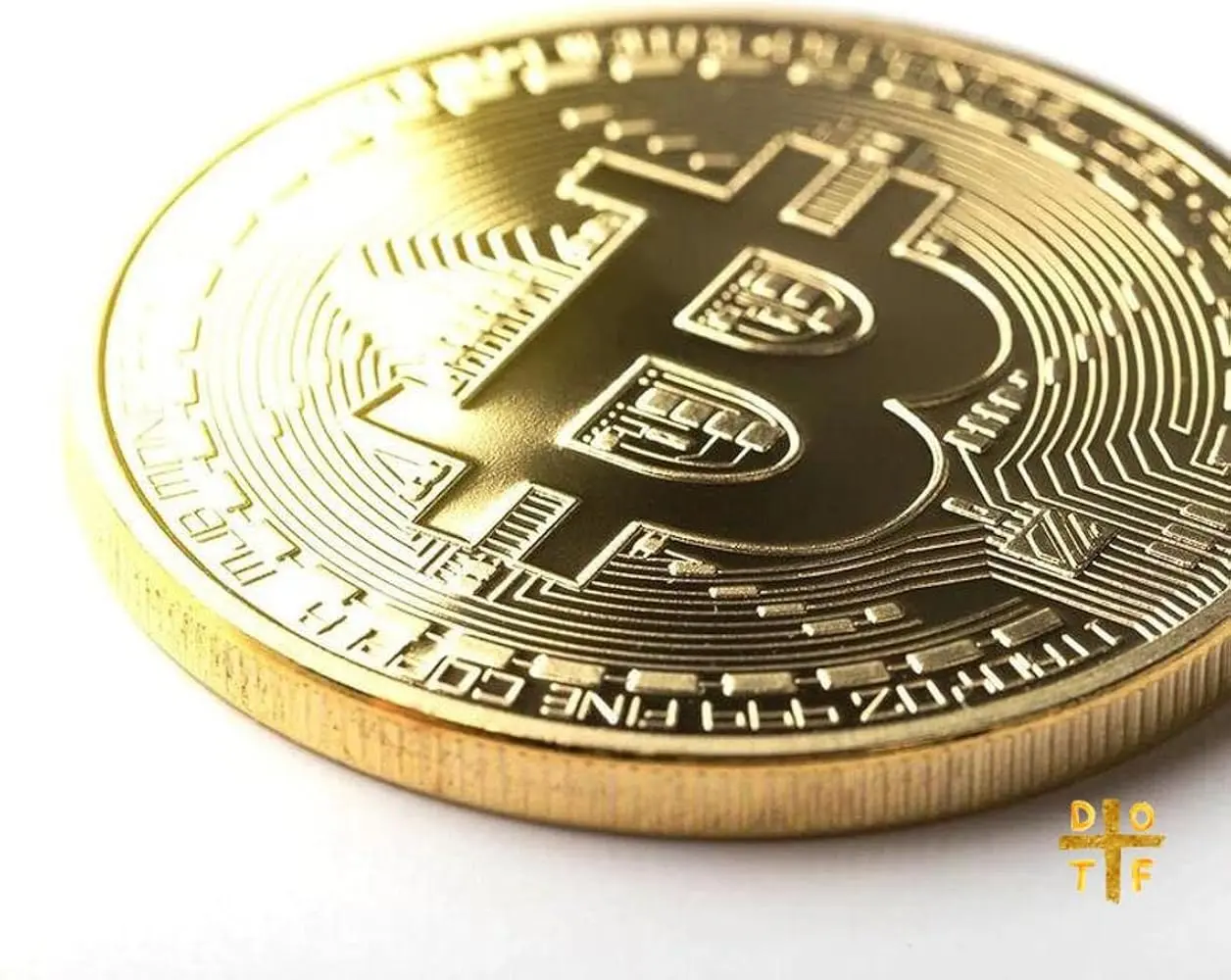 Bitcoin Gold Monedero: Guía completa para principiantes - Cómo obtener una billetera Bitcoin Gold bitcoin gold monedero - Cómo obtener una billetera Bitcoin Gold