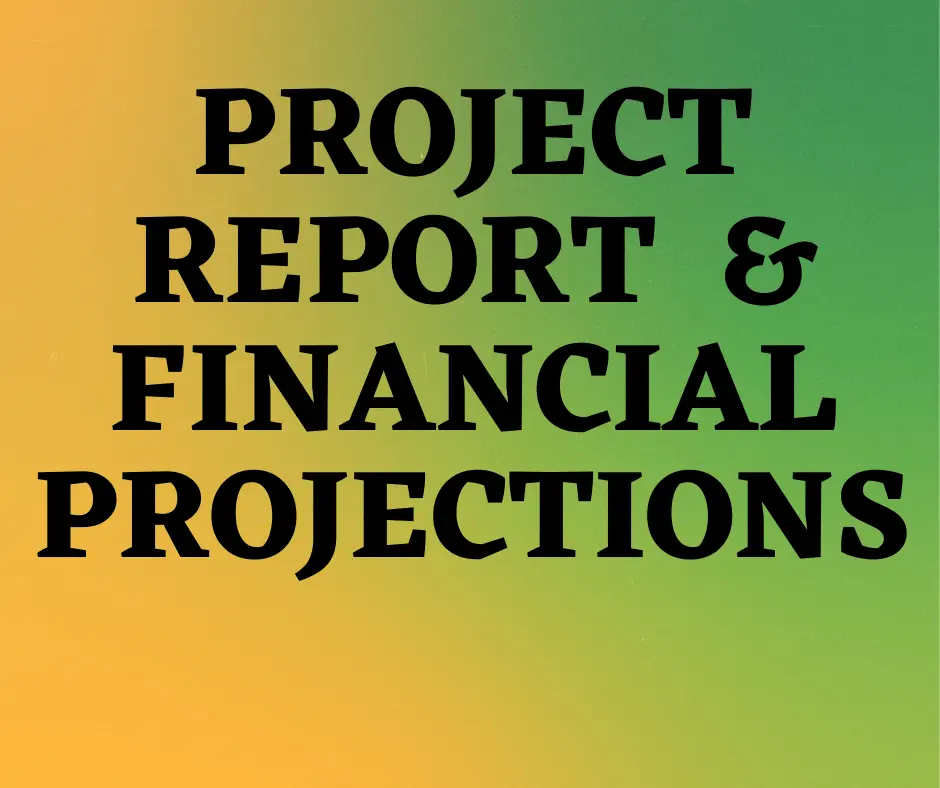 como hacer un relevamiento en finanzas de proyecto - Cómo preparar un informe financiero de un proyecto