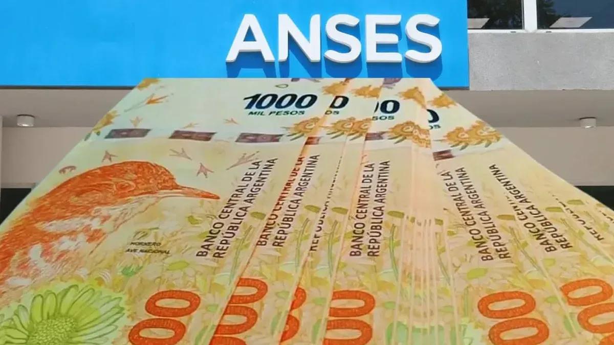 anses bono 1000 - Cómo puedo anotarme en el plan 1000 días