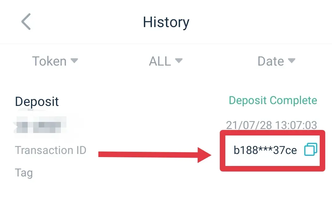 Cómo encontrar el TXID de un retiro de criptomonedas: una guía completa - Cómo puedo saber mi txid ver txid de withdraw criptomonedas - Cómo puedo saber mi txid