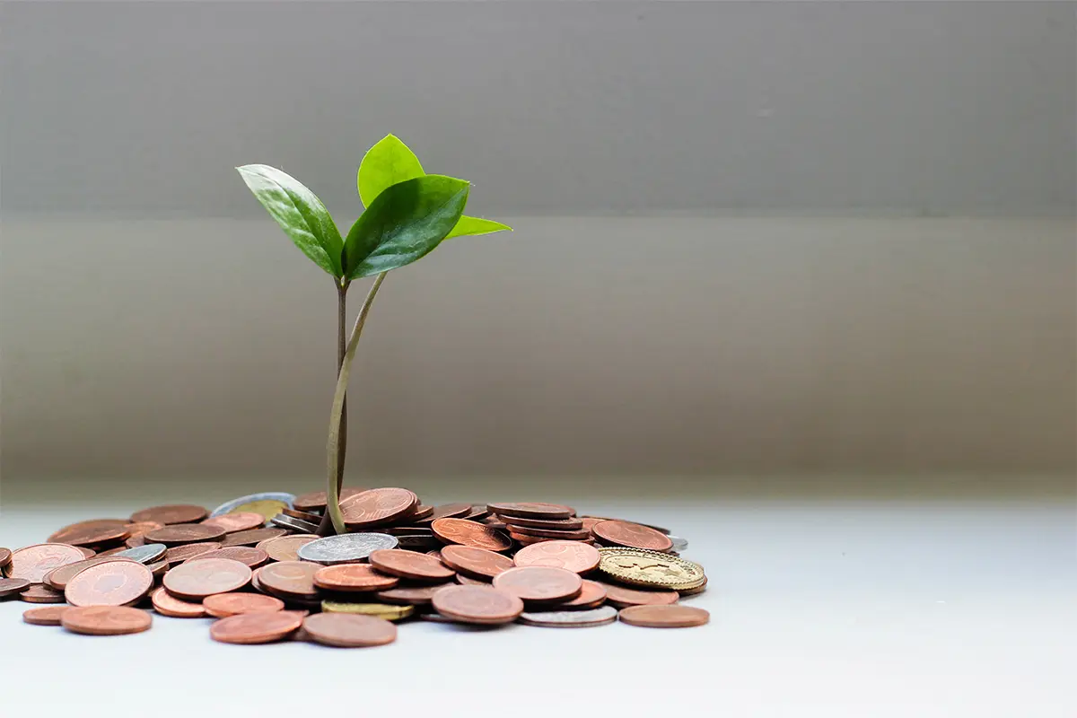 Qué es la TIE en Finanzas: Entendiendo el Tipo de Interés Efectivo - Cómo se calcula el tie que es la tie en finanzas - Cómo se calcula el tie