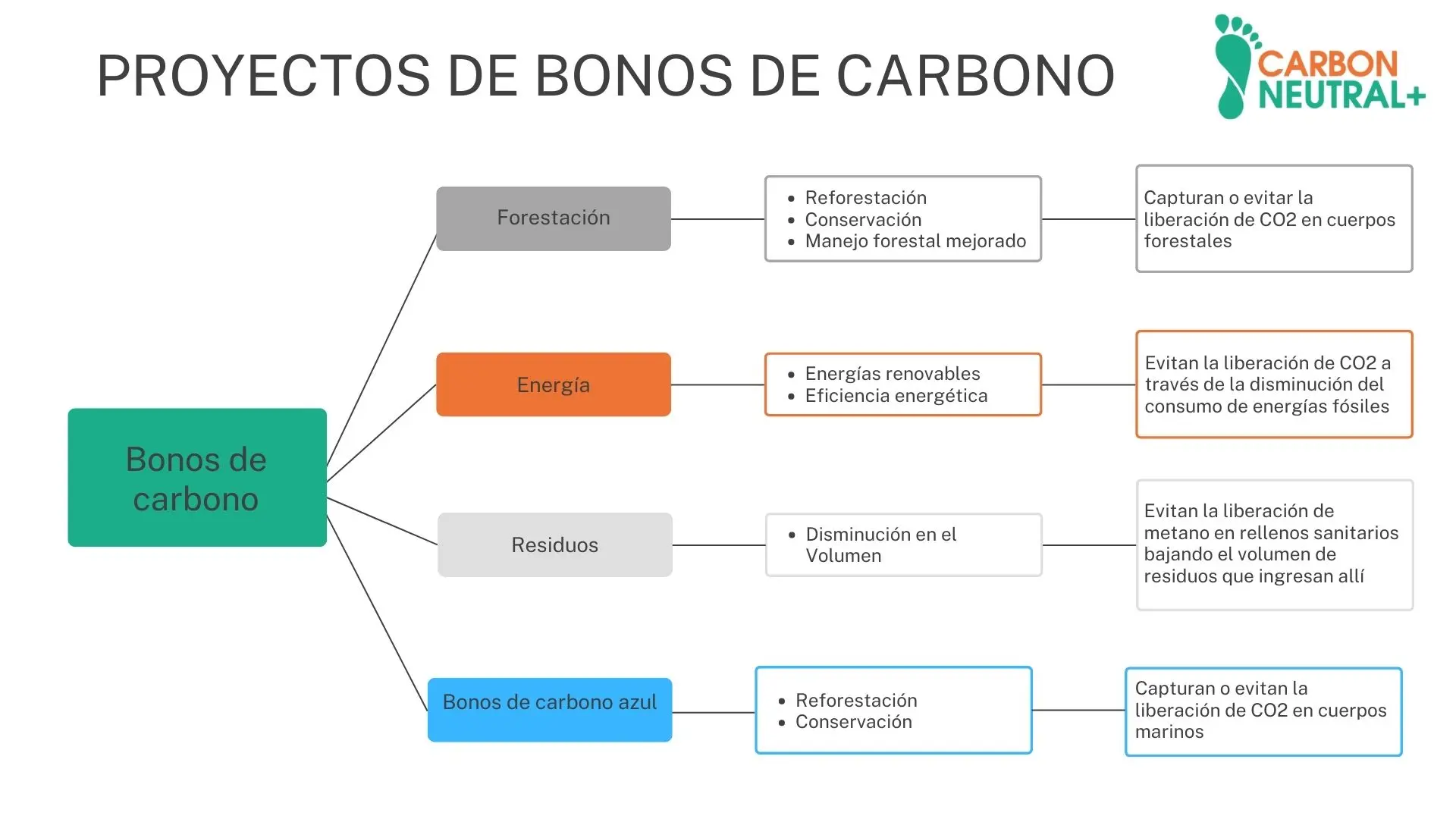 Bonos de Carbono en Argentina: Guía Completa para Empresas y Organizaciones - Cómo se consiguen los bonos de carbono bonos de carbono argentina - Cómo se consiguen los bonos de carbono