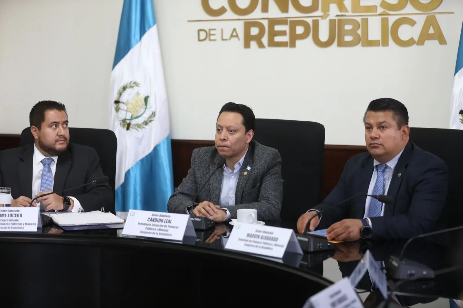 comision finanzas diputados - Cómo se dividen las comisiones legislativas