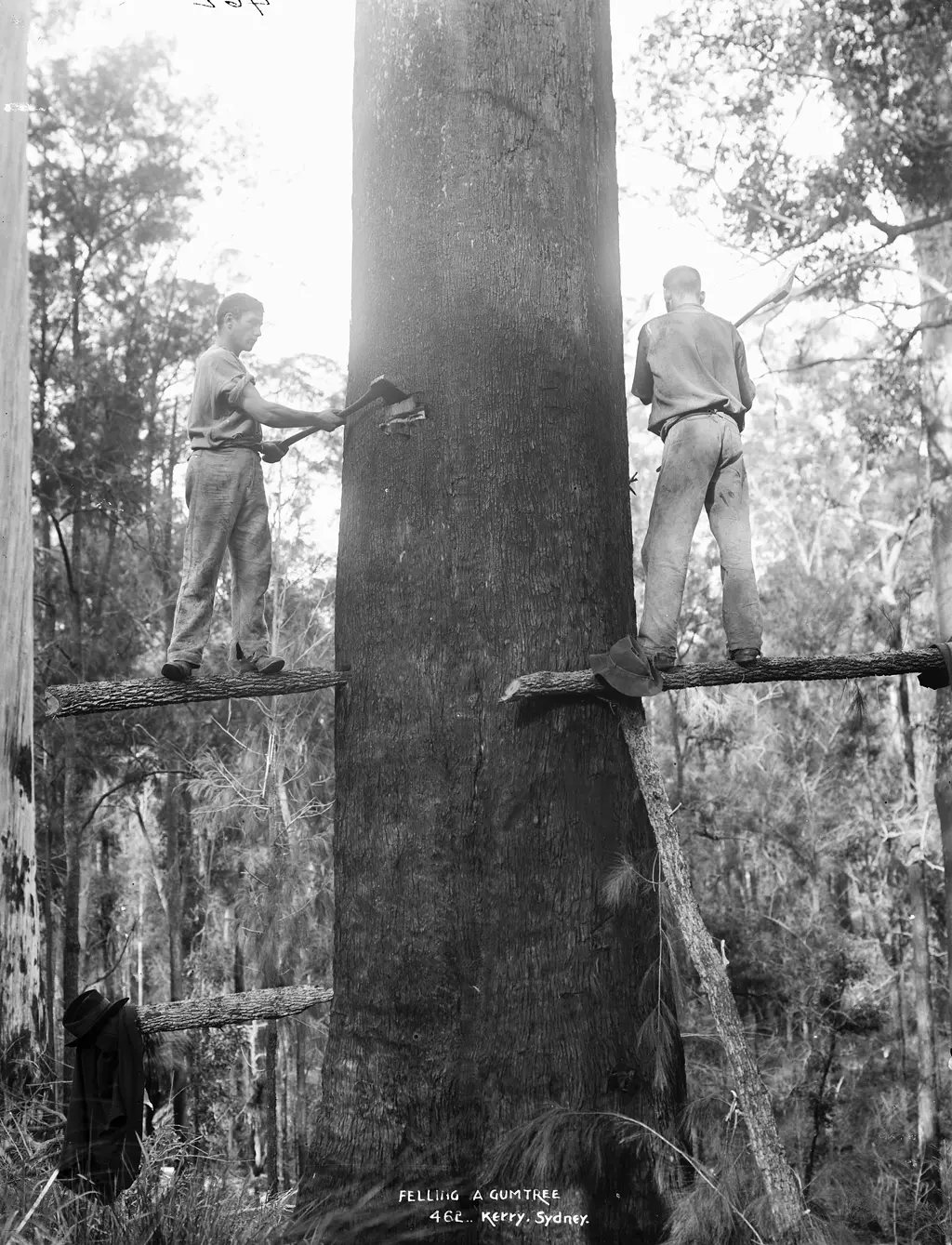 como invertir en madera - Cómo se llama el negocio de la madera