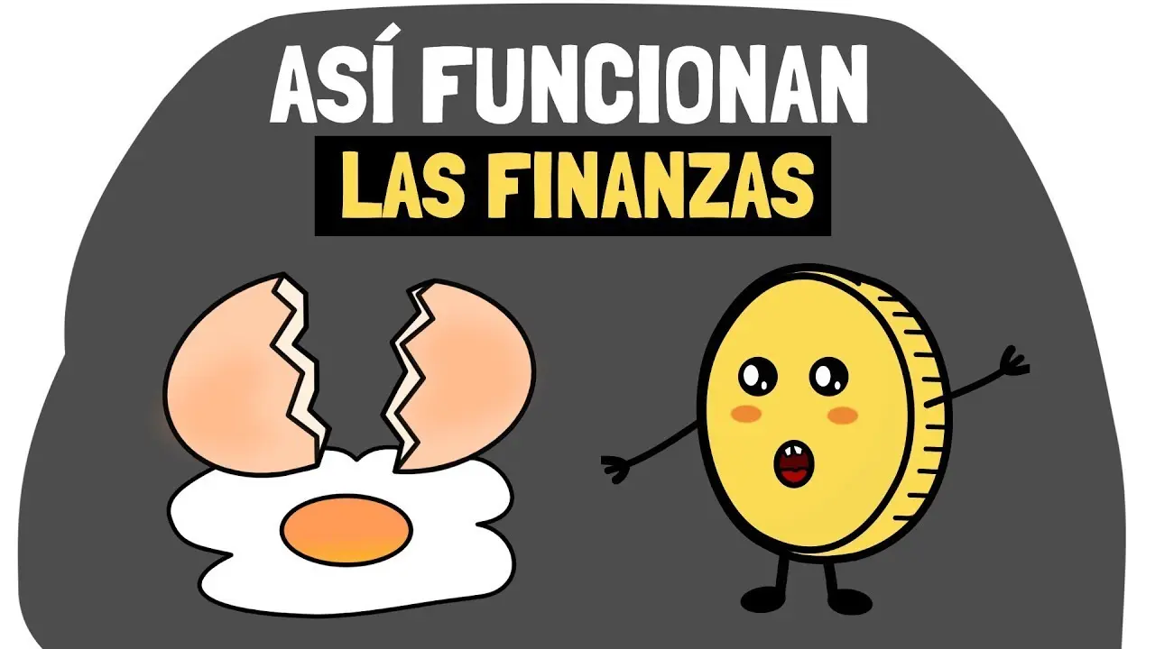 Cómo Aprender a Hacer Videos de Economía, Contabilidad y Finanzas: Guía Completa - Cómo ser inteligente en contabilidad como aprender hacer videos de economia contabilidad y finanzas - Cómo ser inteligente en contabilidad