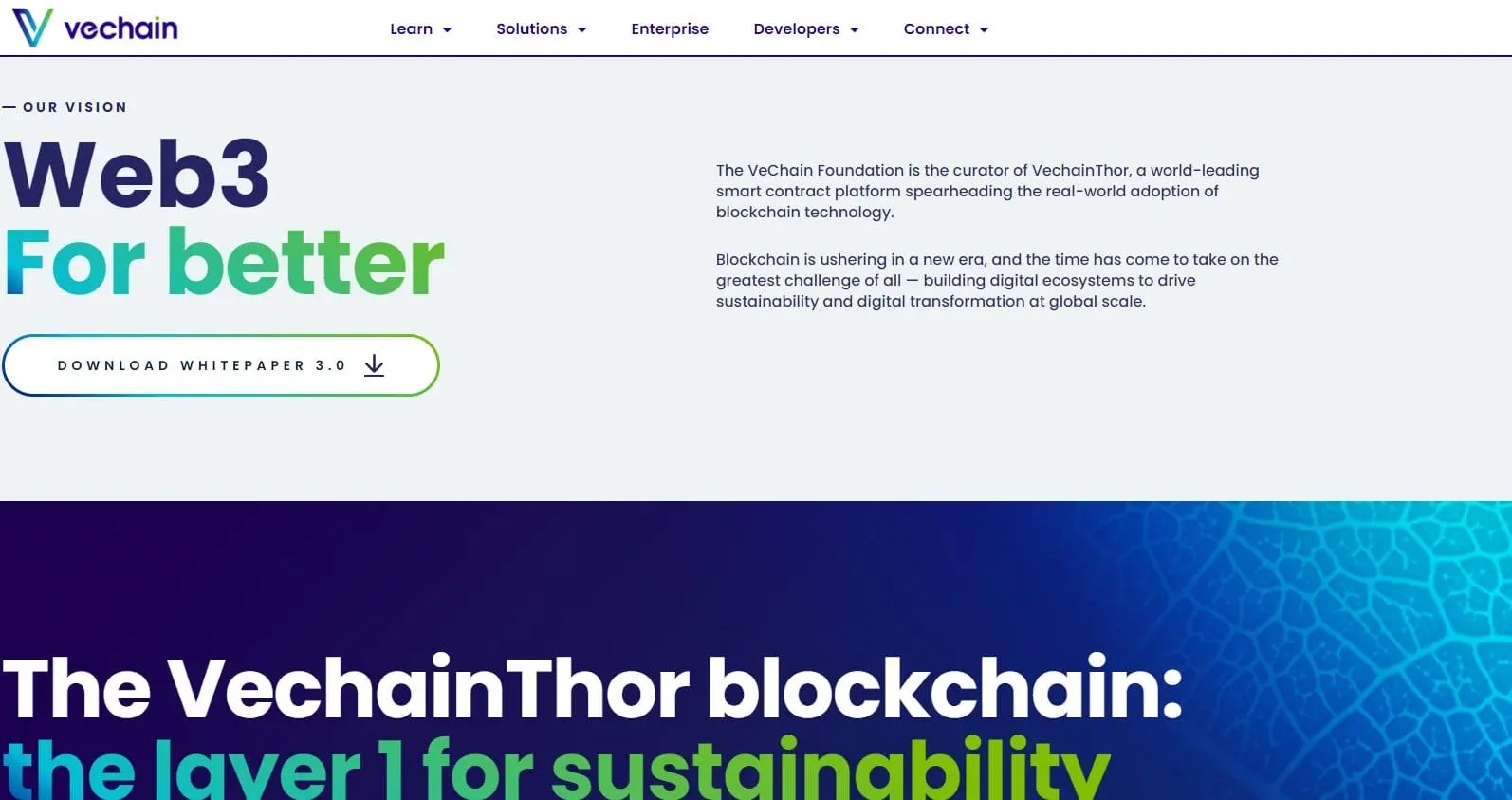 VeChain (VET): La Criptomoneda que Transforma la Cadena de Suministro - Cuál es el futuro de VeChain vechain criptomoneda - Cuál es el futuro de VeChain