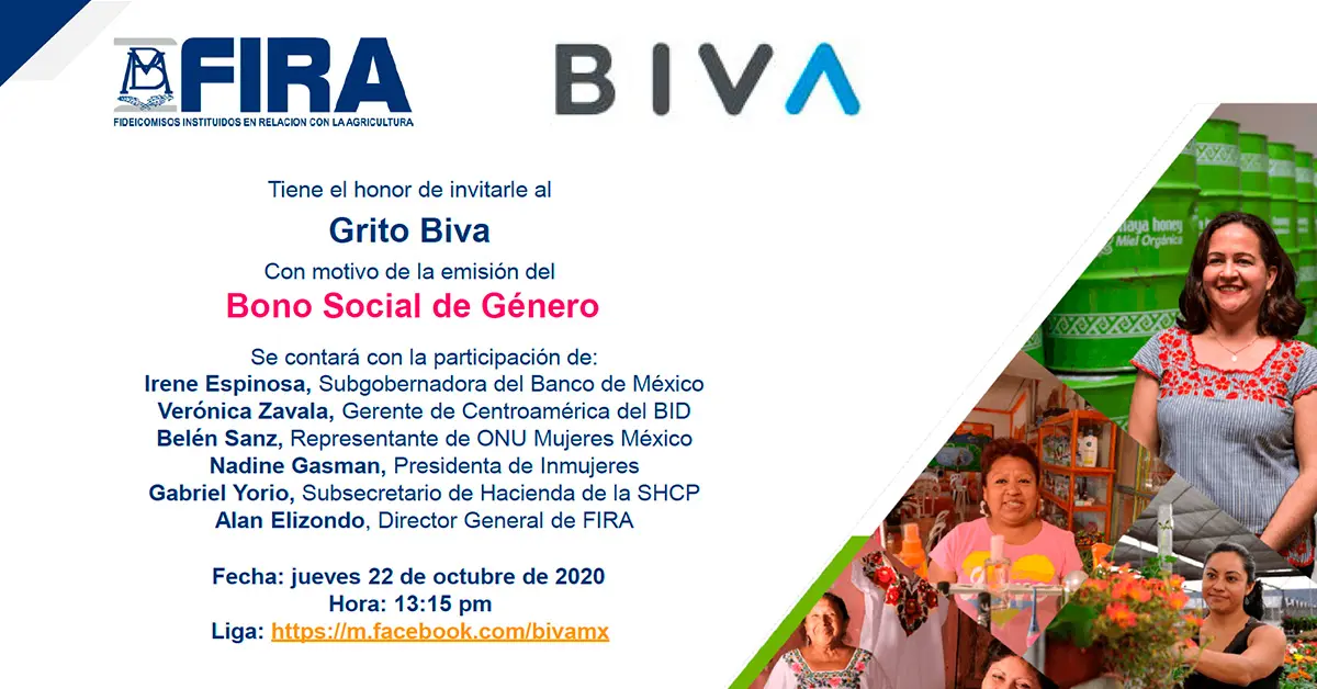 Bono de Género: Una Innovación Financiera para el Empoderamiento de las Mujeres - Cuál es el monto del programa Acompañar 2024 bono de genero - Cuál es el monto del programa Acompañar 2024