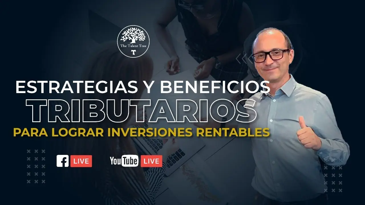 El Régimen de Incentivos para Grandes Inversiones (RIGI): Una Mirada al Debate - Cuál es el objetivo del Rigi aliciente tributario para la inversion - Cuál es el objetivo del Rigi