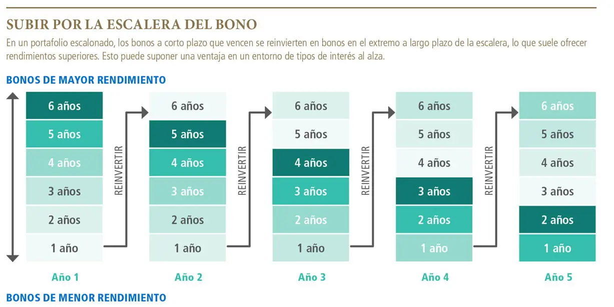 Cuánto cuesta un bono: Guía completa para entender su precio - Cual es el precio de un bono cuanto cuesta un bono - Cual es el precio de un bono