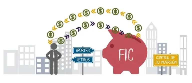 inversion colectiva - Cuál es un ejemplo de inversión colectiva
