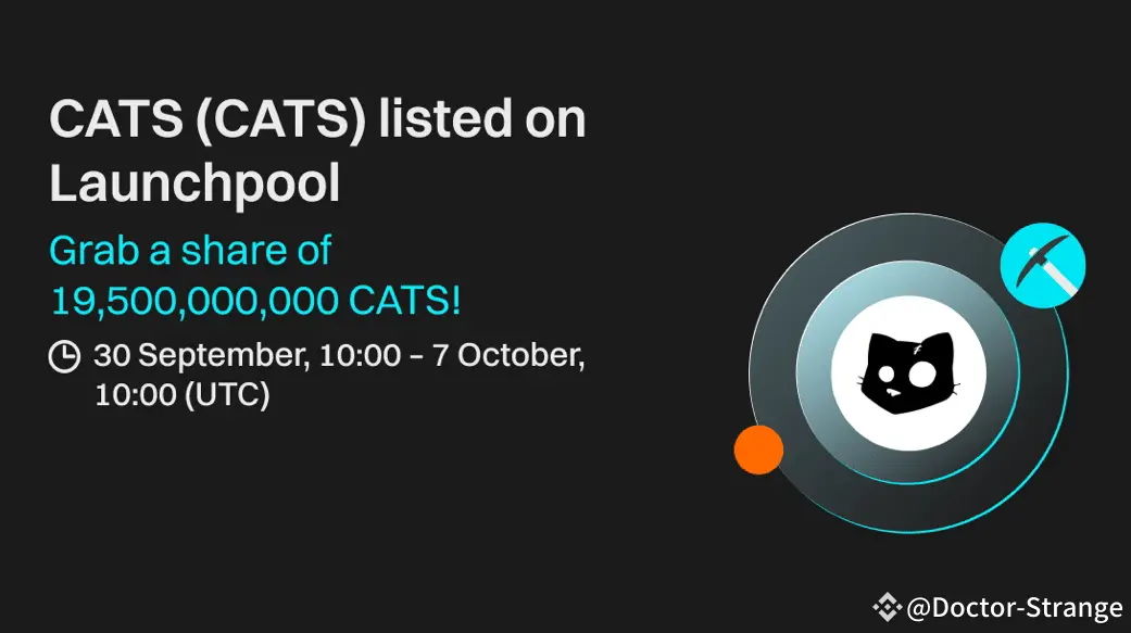 criptomoneda cat - Cuándo sale Cats Crypto
