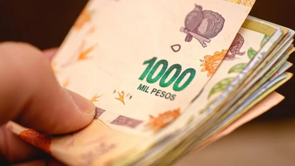 anses bono de 10.000 como saber si cobro - Cuándo se cobra el bono de 10 mil pesos en noviembre