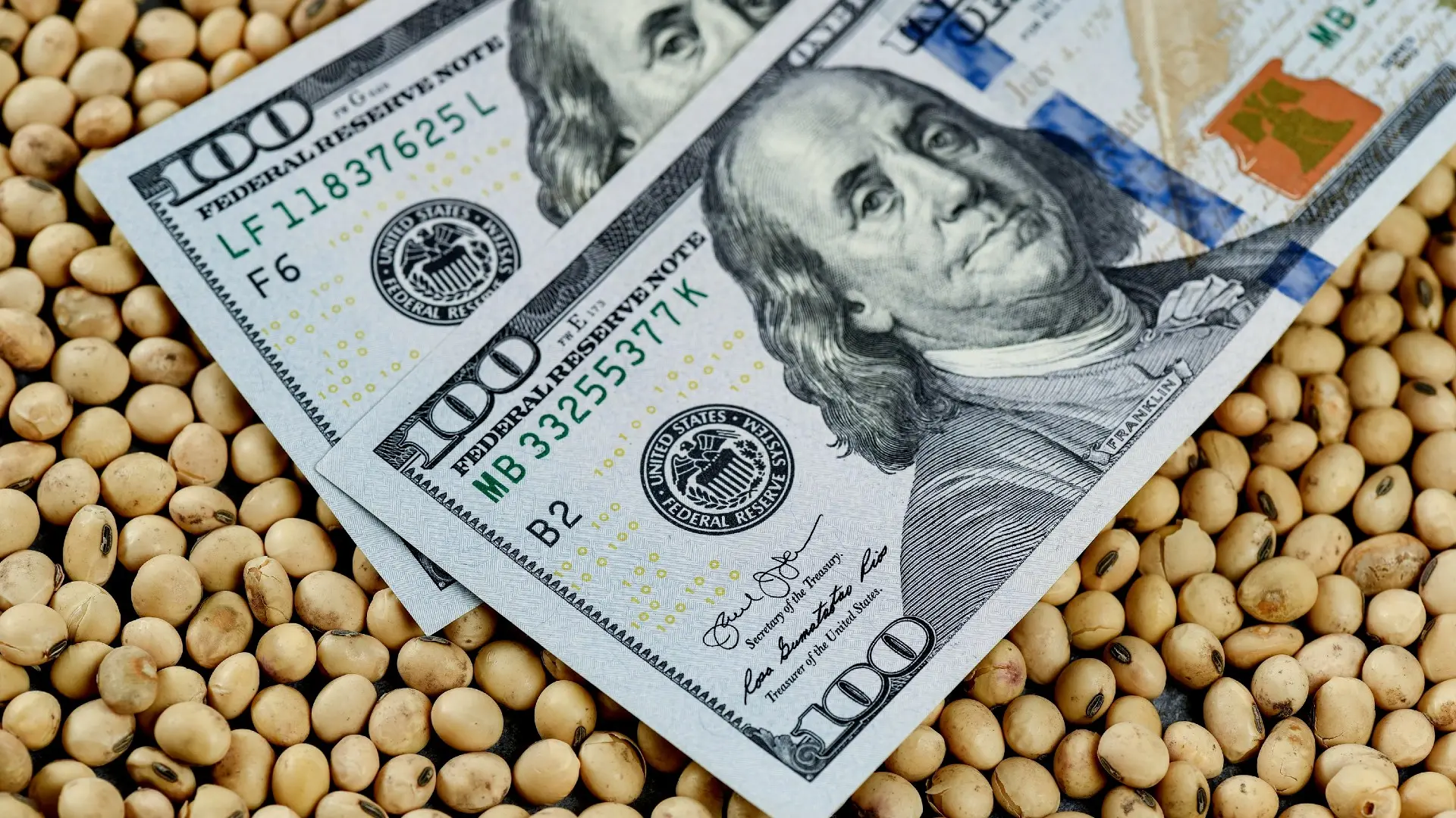 Dólar Soja: Guía Completa para Comprender y Aprovechar esta Herramienta - Cuándo vence el dólar soja como comprar dolar soja - Cuándo vence el dólar soja