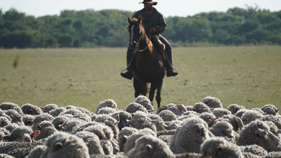 bono de fin de ano rurales - Cuánto cobra un empleado rural en 2024