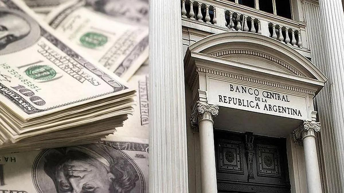 bcra cotizacion dolar oficial - Cuánto debe el BCRA