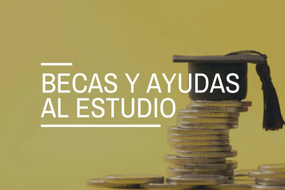 Becas en España para Extranjeros 2020: Financiando tus Estudios - Cuánto dinero se destina a becas en España becas espana para extranjeros 2020 finanzas - Cuánto dinero se destina a becas en España