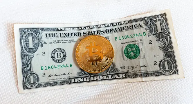 ¿Cuánto Vale 1 Dólar en Bitcoin? - Cuánto es 1 dólar por BTC 1 estadounidense a bitcoin - Cuánto es 1 dólar por BTC