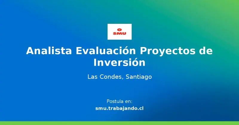 Analista de Proyectos de Inversión: Una Guía Completa - Cuánto gana un analista de proyectos en Argentina analista de proyectos de inversion - Cuánto gana un analista de proyectos en Argentina