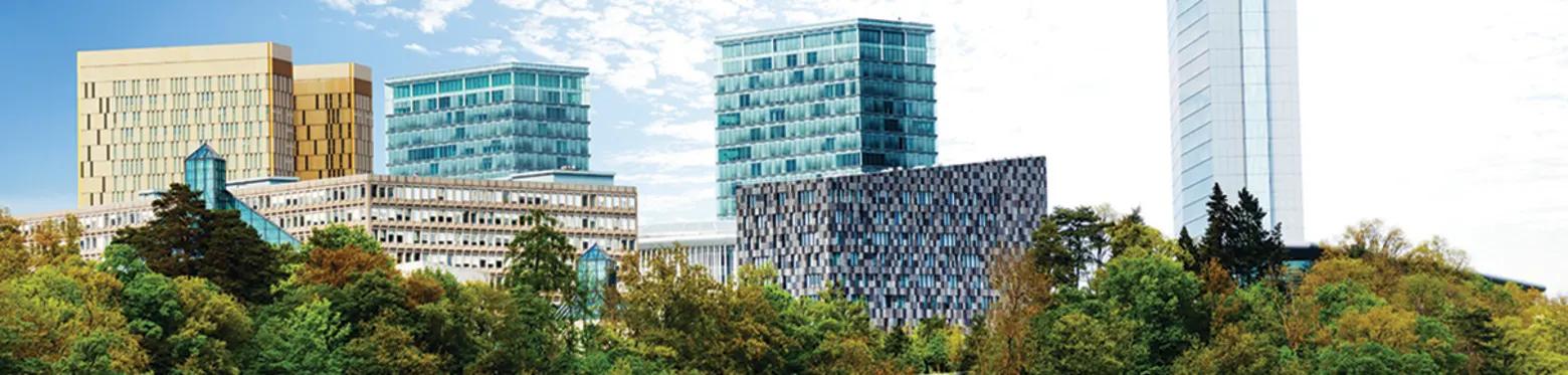 Salario de un Financiero en Luxemburgo: Guía Completa - Cuánto gana un financiero en Luxemburgo luxemburgo master en finanzas - Cuánto gana un financiero en Luxemburgo