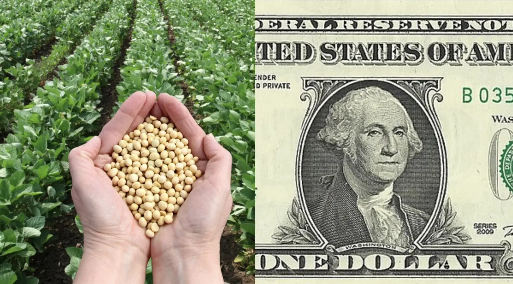 Dólar Soja: Guía Completa para Comprender y Aprovechar esta Herramienta - Cuánto vale el dólar de soja como comprar dolar soja - Cuánto vale el dólar de soja