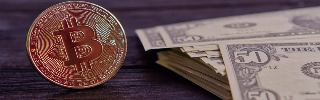 bitcoin cash a dolar - Cuánto vale mi Bitcoin Cash