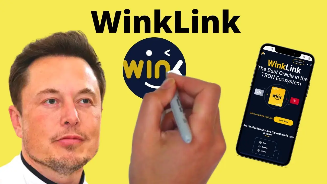 win criptomoneda - Cuánto vale un 1win coin