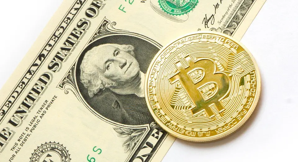 bitcoin cash a dolar - Cuánto vale un cash