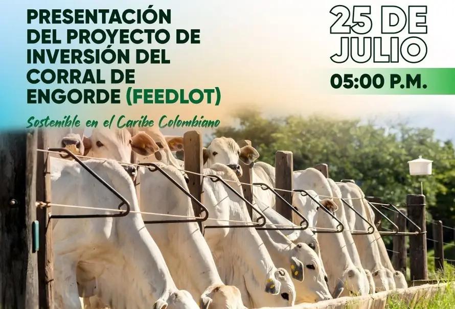 Feedlots en Argentina: Una mirada al sector de engorde intensivo - Cuántos feedlots hay en Argentina proyecto de inversion feedlot - Cuántos feedlots hay en Argentina
