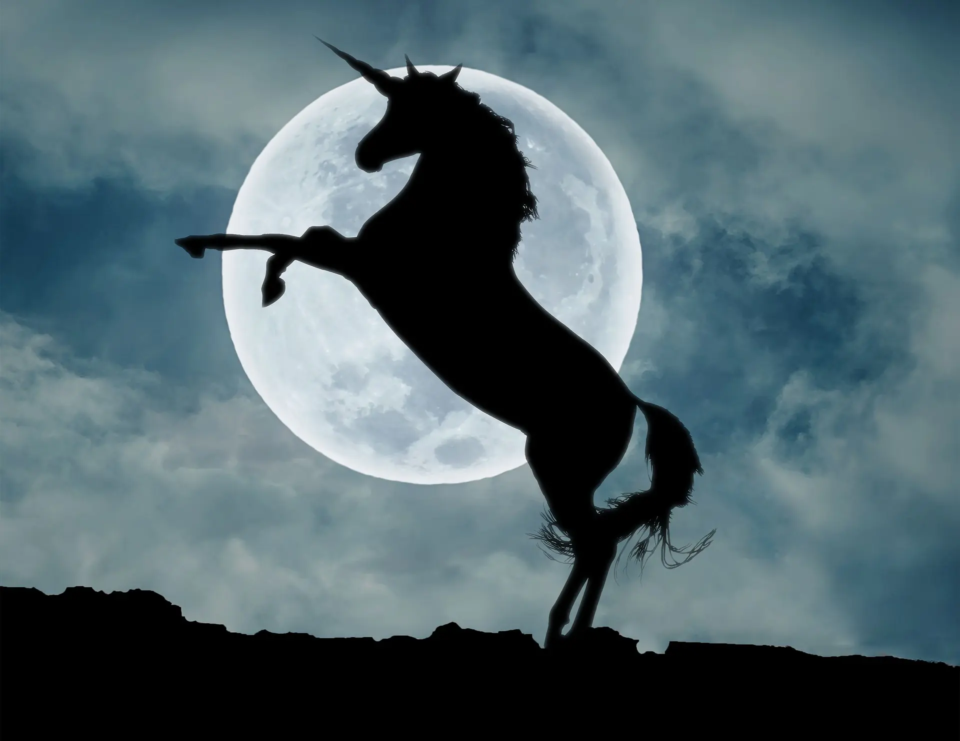 ultimos unicornios criptomonedas - Cuántos unicornios tiene Brasil