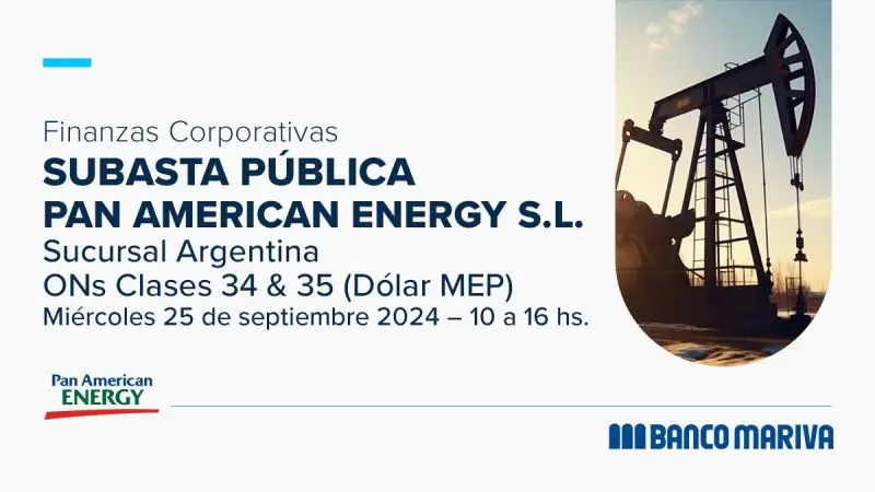 panamerican energy finanzas - Dónde cotiza Pan American Energy