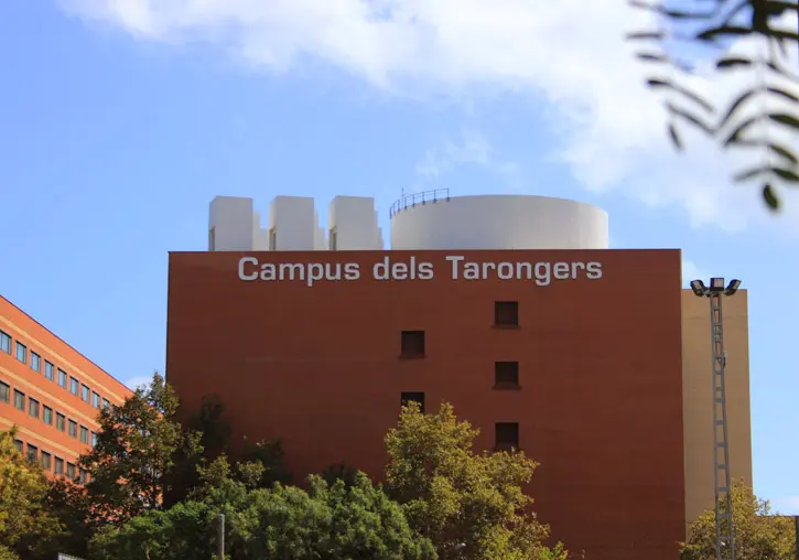 finanzas universidad valencia - Dónde estudiar Finanzas en Valencia