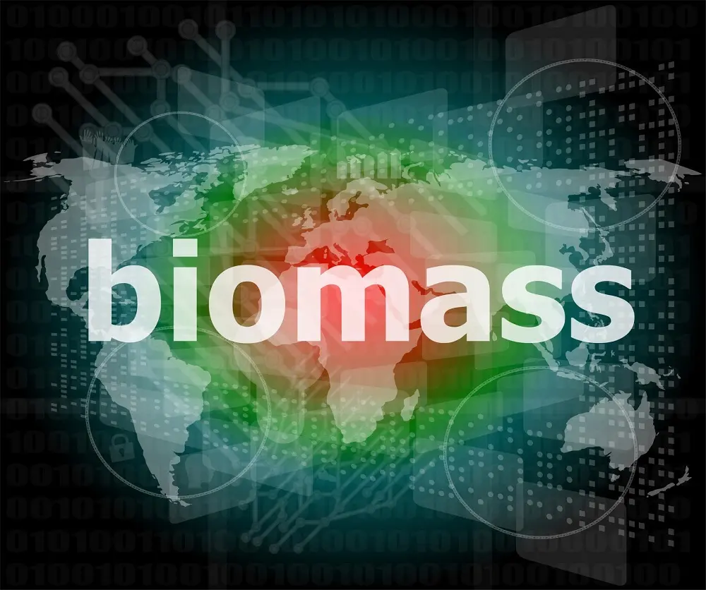 costos de inversion de la biomasa - Es rentable la biomasa
