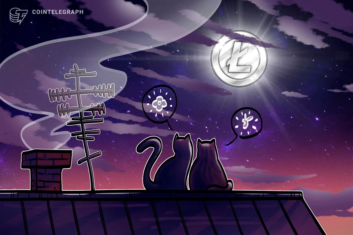 Litecoin (LTC): La Plata Digital al Bitcoin - Es seguro Litecoin criptomoneda litecoin - Es seguro Litecoin