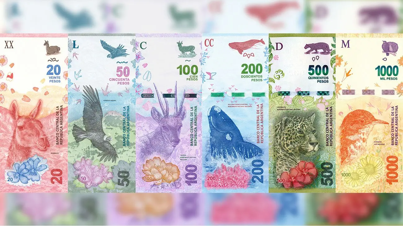 Convertidor de Euros a Pesos Argentinos: Guia Completa de Tasa de Cambio - Est-ce que l'euro est utilisé en Argentine convertisseur euro pesos argentin - Est-ce que l'euro est utilisé en Argentine