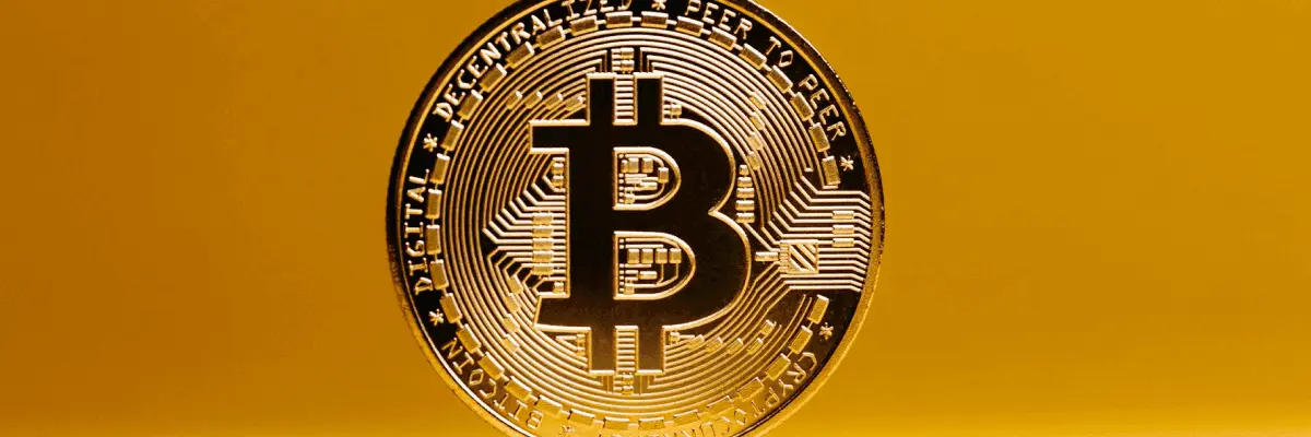 Bitcoin Hot Wallets: Una Guía Completa para Usuarios - How do I transfer bitcoins to my hot wallet bitcoin hot wallet - How do I transfer bitcoins to my hot wallet