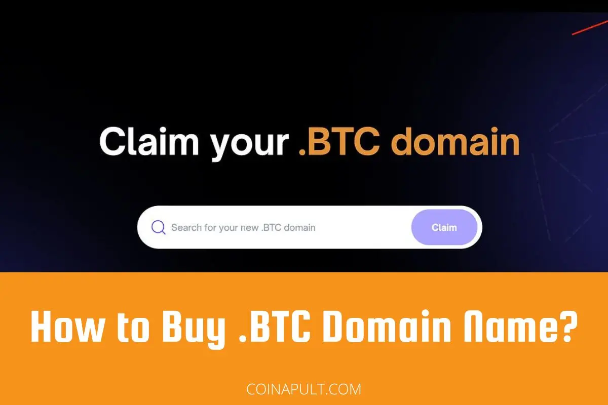 Bitcoin Name Service (BNS): Cómo Registrar un Nombre de Dominio .btc - How to get a .BTC name bitcoin name service - How to get a .BTC name
